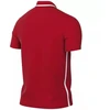 Nike Dri-FIT Park 26 Vyriški Polo Marškiniai Raudoni HM7136 657