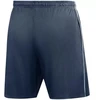 Nike Dri-Fit Park 26 Vyriškos šortai Tamsiai mėlyni HM7146 410