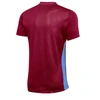 Nike Dri-FIT Park Derby IV M FD7430-677 Marškinėliai