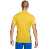 Nike Dri-FIT Park Derby IV M FD7430-720 Marškinėliai