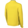 Nike Dri-Fit Park Drill Top Geltonas IB7542 719 Vaikams