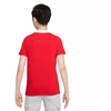 Nike Dri-FIT Park Jr. CW6935-657 Polo Marškinėliai