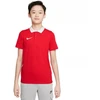 Nike Dri-FIT Park Jr. CW6935-657 Polo Marškinėliai
