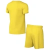 Nike Dri-FIT Park sportinis komplektas vaikams geltonas CD2244 719