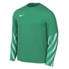 Nike Dri-FIT Park V marškinėliai ilgomis rankovėmis HV8314-324