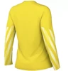 Nike Dri-Fit Park V Stadium moteriški marškinėliai, geltoni HV8316 718
