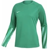 Nike Dri-Fit Park V Stadium Moterų Džersis Žalias HV8316 324