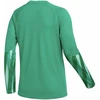Nike Dri-Fit Park V Stadium Moterų Džersis Žalias HV8316 324