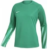 Nike Dri-Fit Park V Stadium Moterų Džersis Žalias HV8316 324