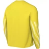 Nike Dri-Fit Park V Stadium Vyriški marškinėliai Geltoni HV8314 718