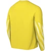 Nike Dri-Fit Park V Stadium Vyriški marškinėliai Geltoni HV8314 718