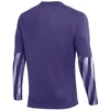 Nike Dri-Fit Park V Stadium Vyriški Marškinėliai Violetiniai HV8314 507
