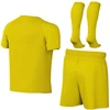 Nike Dri-Fit Park VIII geltonas vaikiškas sportinis komplektas HV8260 719