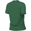 Nike Dri-Fit Park VIII moteriški marškinėliai žali HV8178 302