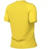 Nike Dri-Fit Park VIII Moteriški Marškinėliai Geltoni HV8178 719