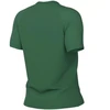 Nike Dri-Fit Park VIII moteriški marškinėliai žali HV8178 302
