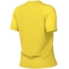 Nike Dri-Fit Park VIII Moteriški Marškinėliai Geltoni HV8178 719
