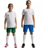 Nike Dri-Fit Park VIII vaikiškas marškinėlis baltas HV8182 100