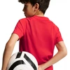 Nike Dri-Fit Park VIII vaikiški marškinėliai, raudoni, HV8182 657