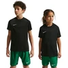 Nike Dri-Fit Park VIII vaikiški marškinėliai Juodi HV8182 010