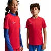 Nike Dri-Fit Park VIII vaikiški marškinėliai, raudoni, HV8182 657