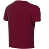 Nike Dri-Fit Park VIII Vaikiški marškinėliai Bordo HV8182 677
