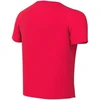 Nike Dri-Fit Park VIII vaikiški marškinėliai Coral HV8182 635