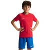 Nike Dri-Fit Park VIII vaikiški marškinėliai, raudoni, HV8182 657