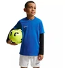 Nike Dri-Fit Park VIII Vaikų Marškinėliai Mėlyni HV8182 463