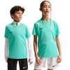Nike Dri-FIT Park VIII Vaikų marškinėliai Turkio HV8182 354