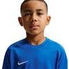 Nike Dri-Fit Park VIII Vaikų Marškinėliai Mėlyni HV8182 463