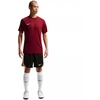 Nike Dri-Fit Park VIII Vyriški marškinėliai Bordo HV8173 677