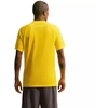 Nike Dri-Fit Park VIII Vyriški Marškinėliai Geltonos HV8173 719