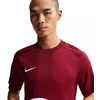 Nike Dri-Fit Park VIII Vyriški marškinėliai Bordo HV8173 677