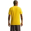 Nike Dri-Fit Park VIII Vyriški Marškinėliai Geltonos HV8173 719