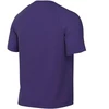 Nike Dri-Fit Park VIII Vyriški Marškinėliai Violetiniai HV8173 547