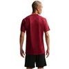 Nike Dri-Fit Park VIII Vyriški marškinėliai Bordo HV8173 677