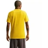 Nike Dri-Fit Park VIII Vyriški Marškinėliai Geltonos HV8173 719