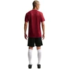 Nike Dri-Fit Park VIII Vyriški marškinėliai Bordo HV8173 677