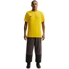 Nike Dri-Fit Park VIII Vyriški Marškinėliai Geltonos HV8173 719