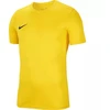 Nike Dri-Fit Park VIII Vyriški Marškinėliai Geltonos HV8173 719