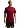 Nike Dri-Fit Park VIII Vyriški marškinėliai Bordo HV8173 677