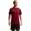Nike Dri-Fit Park VIII Vyriški marškinėliai Bordo HV8173 677