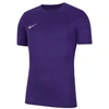 Nike Dri-Fit Park VIII Vyriški Marškinėliai Violetiniai HV8173 547