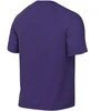 Nike Dri-Fit Park VIII Vyriški Marškinėliai Violetiniai HV8173 547