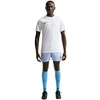 Nike Dri-Fit Park VIII Vyriški marškinėliai Balti HV8173 100