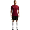 Nike Dri-Fit Park VIII Vyriški marškinėliai Bordo HV8173 677