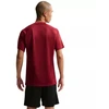 Nike Dri-Fit Park VIII Vyriški marškinėliai Bordo HV8173 677