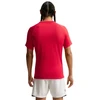Nike Dri-Fit Park VIII Vyriški marškinėliai Raudoni HV8173 657