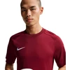 Nike Dri-Fit Park VIII Vyriški marškinėliai Bordo HV8173 677